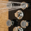 PULSE ShowerSpas 1015-2 Makena II Black Glass Shower Panel