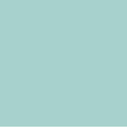 Dulux Surf Wash - Paint