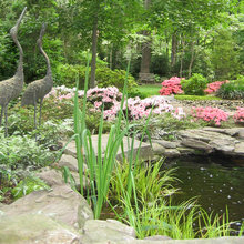 pond
