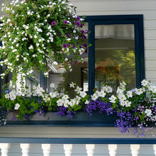 Planter Boxes