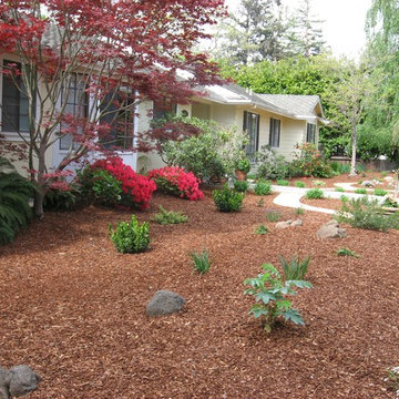 Menlo Park Lawn Replacement