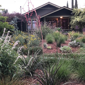 Colorful Watershed Front Landscape