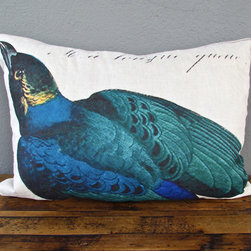 blue bird natural history pillow - Decorative Pillows