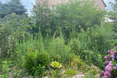 Astoria Backyard Transformation