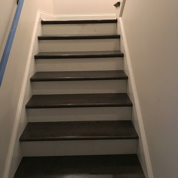 Ebony Stained Maple Flooring