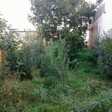 Richmond Back Garden Renovation