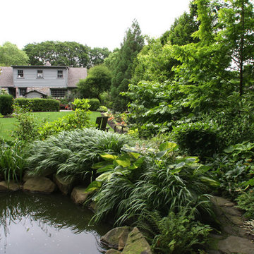 Pond