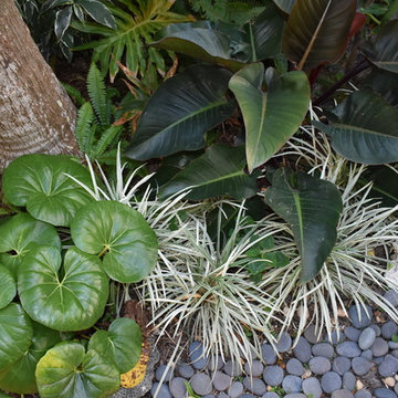 Fort Lauderdale Landscaping