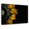 Backside of Sunflower Floral Nature Photo Canvas Wall Art Print, 18" X 24"