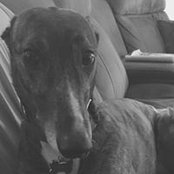 Nikki Torres Junker's photo