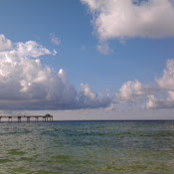 Anna Schroll's photo