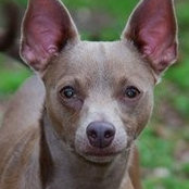 Floyd Carter's photo