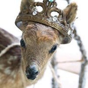Donna Asbury's photo