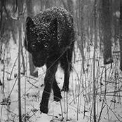 Jeremy Engeman's photo
