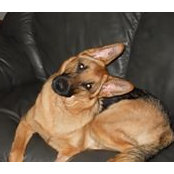 Karl Sorensen's photo