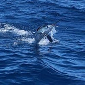 Laura Lee-Dunn's photo