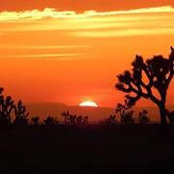 Debbie Bolton Ogan's photo