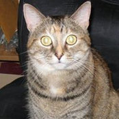 Foto von Penny Harmon