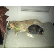 Jennifer Armenta's photo