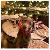 Monica Boyer's photo