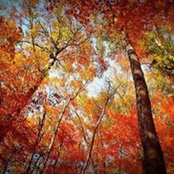 Foto de Diane Martin Boydell
