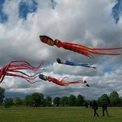 Estelle Perrier's photo