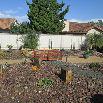 Low Water Use Garden in Rancho Bernardo San Diego
