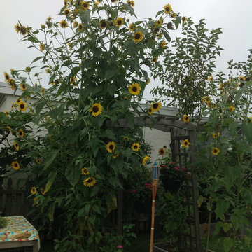 Garden Style