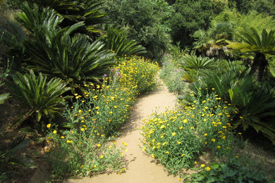 Idée de décoration pour un jardin méditerranéen.