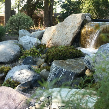 11x16 Ecosytem Wildlife Pond