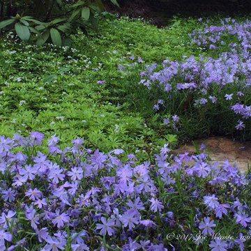 NJ garden design