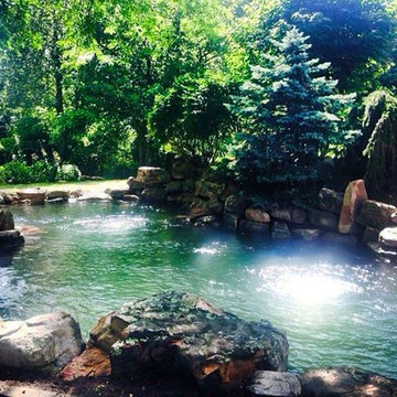 Japanese Koi Pond Design