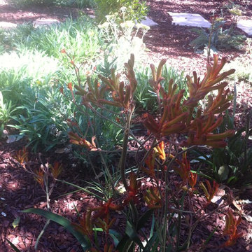 Private garden from Lawn Reduction