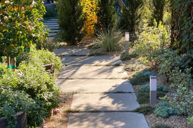 Design ideas for a large mid-century modern drought-tolerant and full sun front yard concrete paver and metal fence garden path in San Francisco.