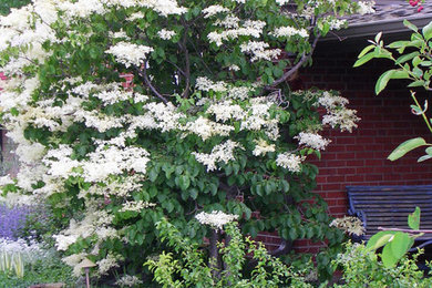 Inspiration for a contemporary landscaping in Denver.