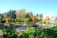 Post a few of your favorite garden pictures...no matter how old