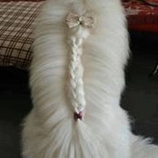 Hoai Mien's photo