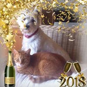 Foto von Susan Kyle
