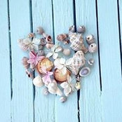 Melike Pkl's photo