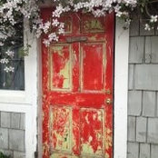 Mia Kartiganer's photo