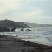 'Cedric Lewis''s photo