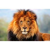 Raj Hayer's photo