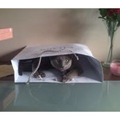 Grace Bloggs's photo