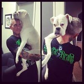 Chris Collins's photo
