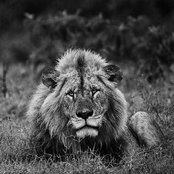 Natascha Saylor's photo