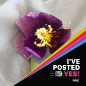 Diane McLauchlan's photo