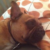 Kay Neuendorf's photo