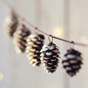 Barbara Ferri's photo