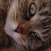 Amy Dunek's photo