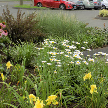 One of the several Ecological plantings in Horseneck Parking Lot